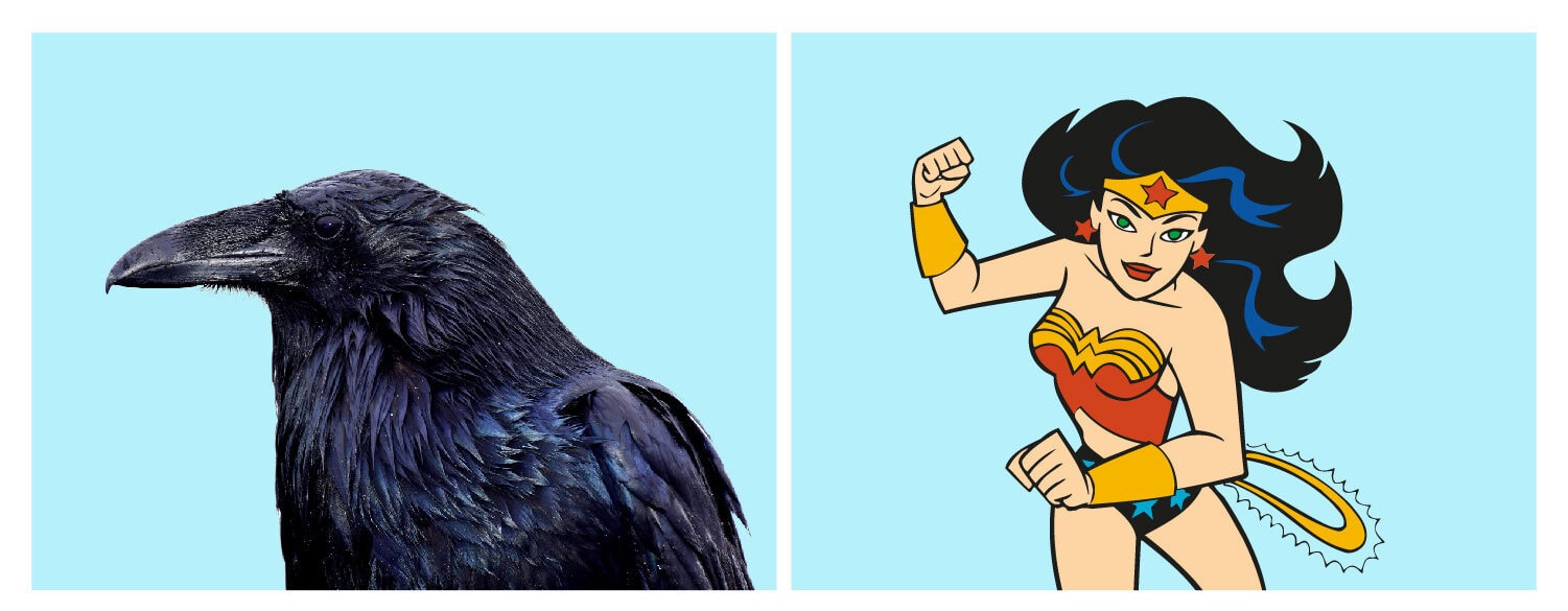 crow and wonder woman